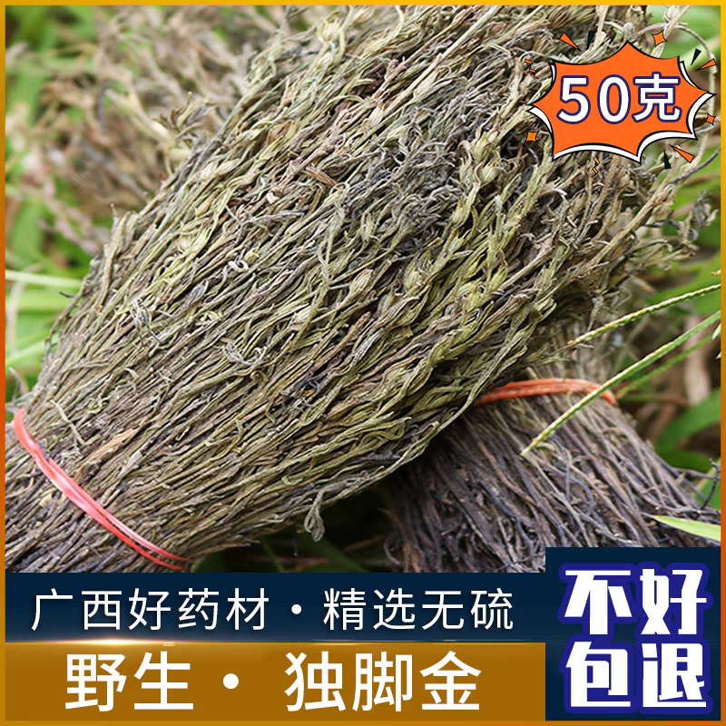 当季新鲜旗舰店正品小孩开独角金