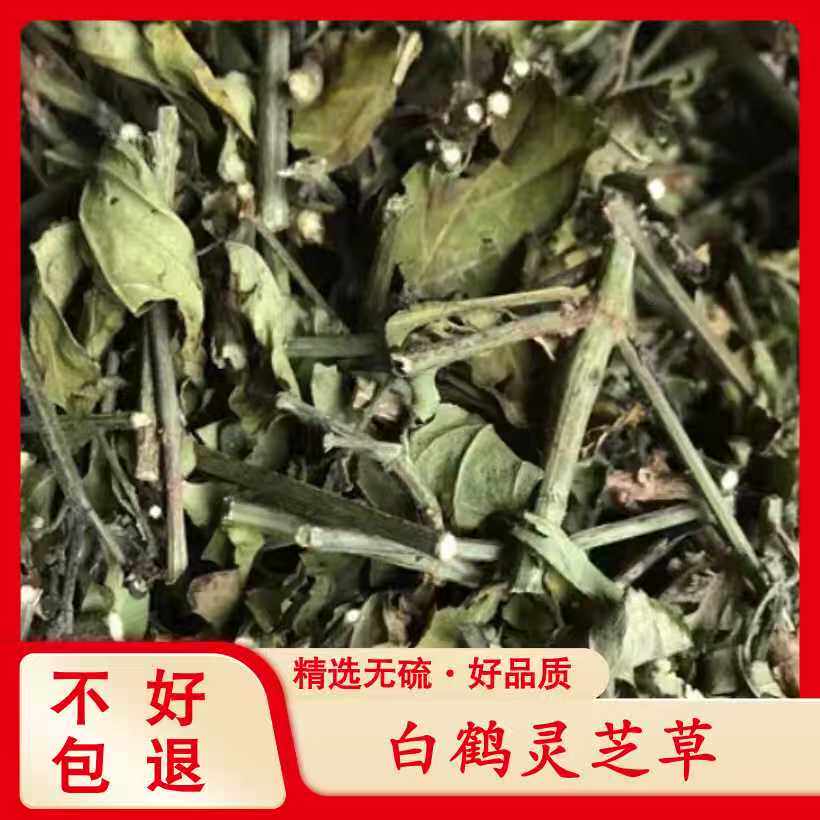 正宗深山白鹤灵芝草精选正品新鲜干货无硫500克山货