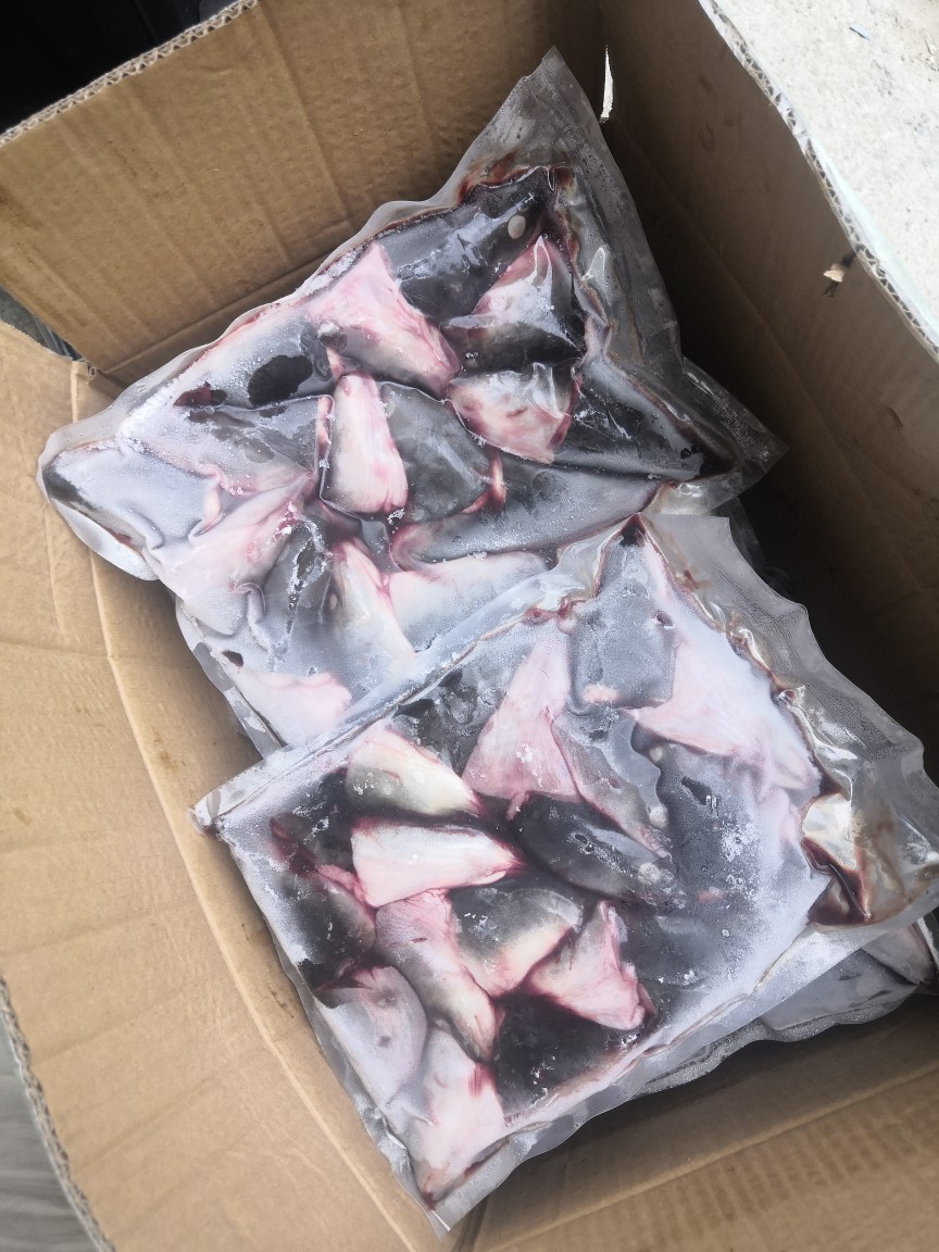 广东饶平县产蒲烧冻烤鳗鱼健源匠鳗鱼