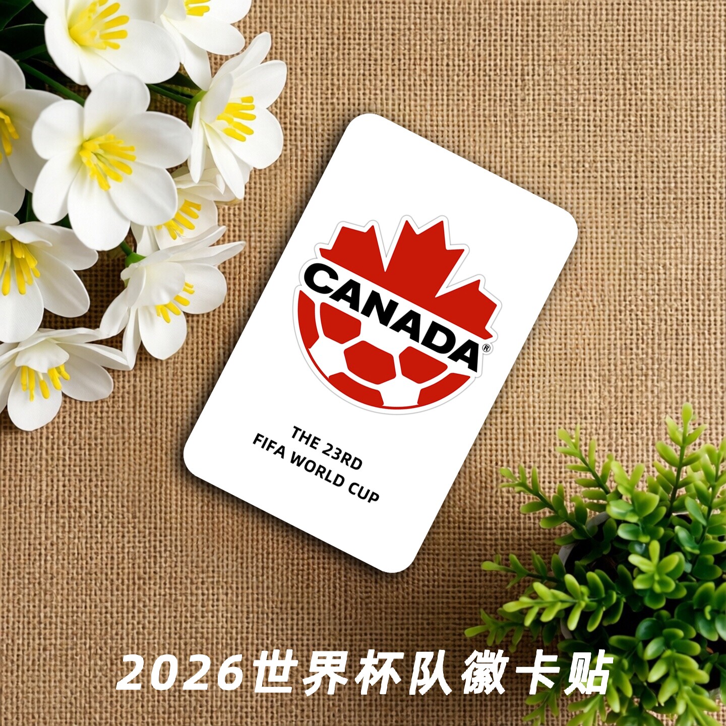 2026世界杯队徽贴纸48张全套