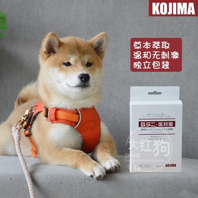 宠物棉签耳道kojima宠物耳部棉