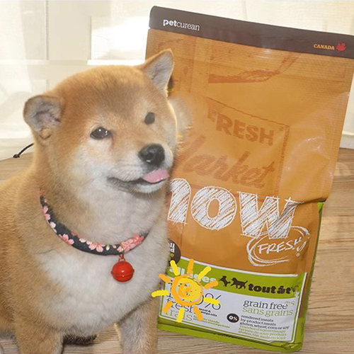 now小型犬泰迪全犬种狗粮四叶草