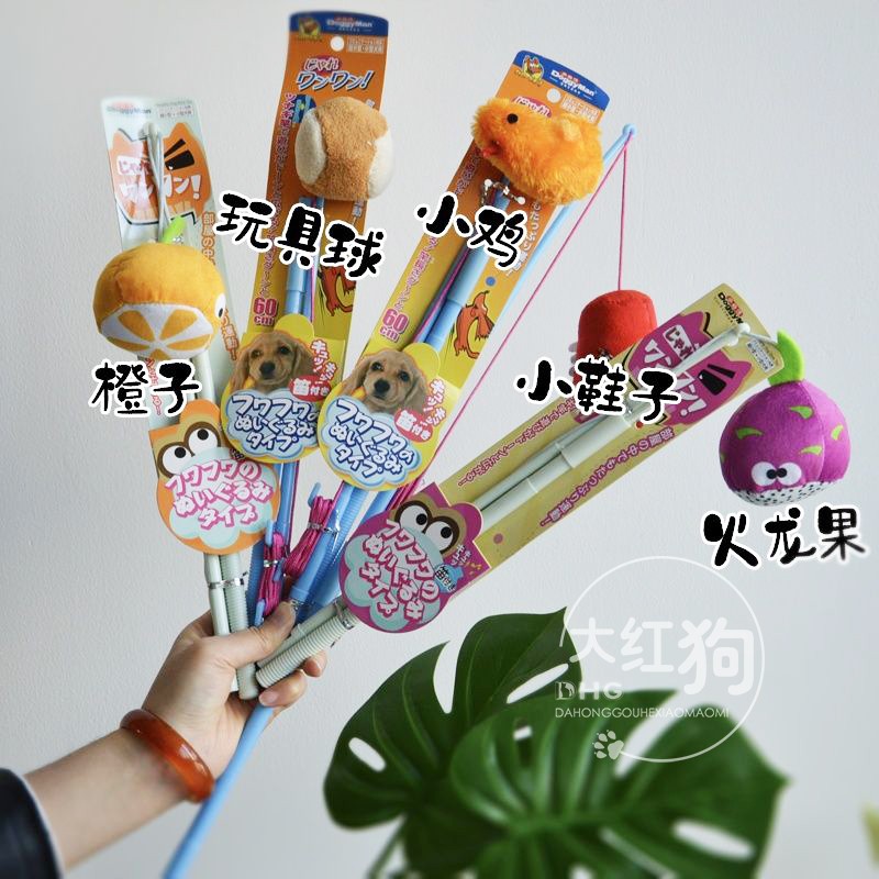 逗狗棒！拖鞋小鸡和球玩具狗狗