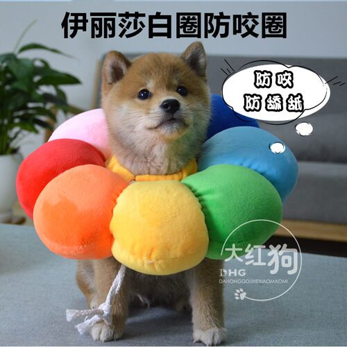 可爱太阳花宠物圈狗狗防舔咬头套