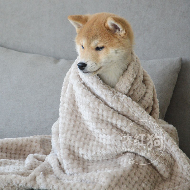毛毯垫猫咪专用法莱绒秋冬柴犬