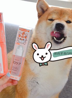 Mindup日本360度犬猫用狗狗牙刷宠物狗柴犬去牙渍牙膏除口腔异味
