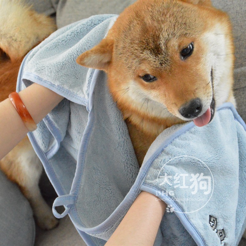 geekplanet宠物洗澡猫狗速干