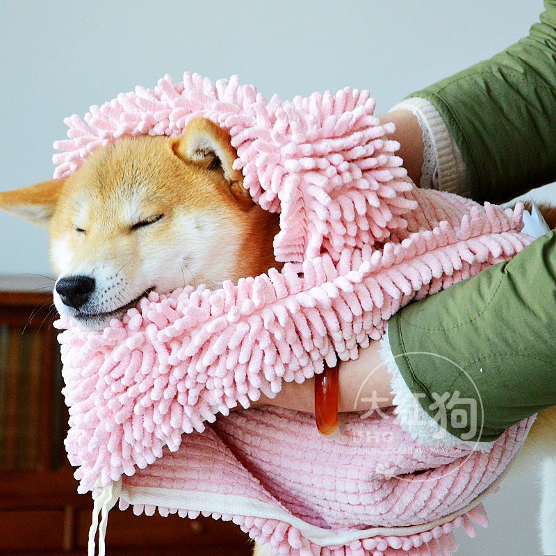 美亚4.5星日本柴犬猫狗超强吸水