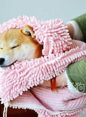 美亚4.5星日本柴犬浴巾SOGGY雪尼尔超强吸水毛巾小柴洗澡浴巾猫狗