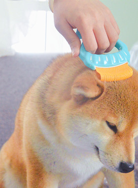 Goldpets金派滋猫贝壳梳柴犬狗宠物梳美容梳长短毛猫狗刷除毛排梳