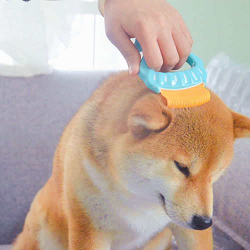 goldpets金派滋猫柴犬长刷贝壳梳