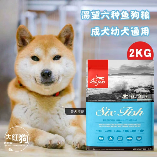 Orijen Canada желает, чтобы корм для собак примитивная охота на шесть видов рыбы и курицы в щенков для щенков.