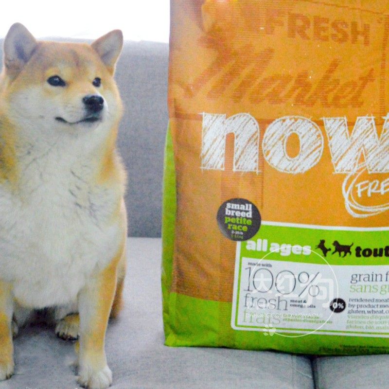 防伪加拿大泰迪小型犬狗粮四叶草