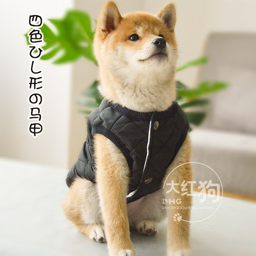 狗狗无领马甲秋冬时尚保暖