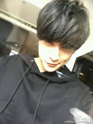 Perruque OTHER   cheveux raides Court - Ref 2609646 Image 4