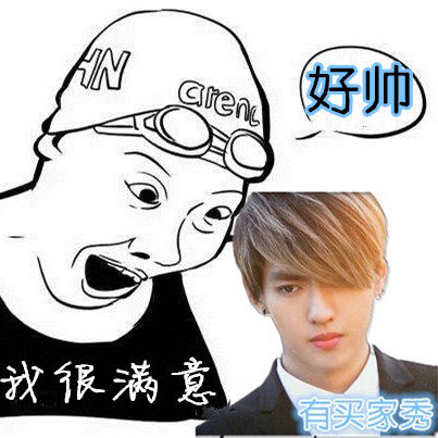 Perruque OTHER   cheveux raides Court - Ref 2612955 Image 1