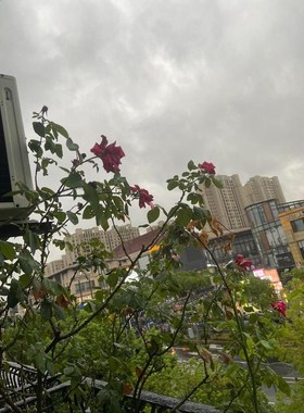 6av6646-1ba18-0na0全新现货议价