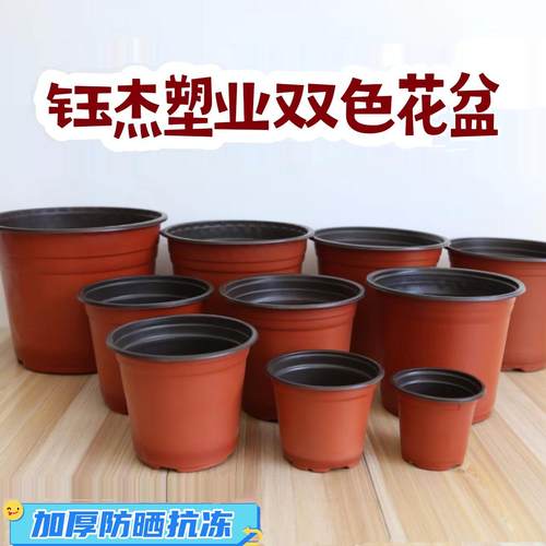 加厚一次性双色大棚草木直销花盆