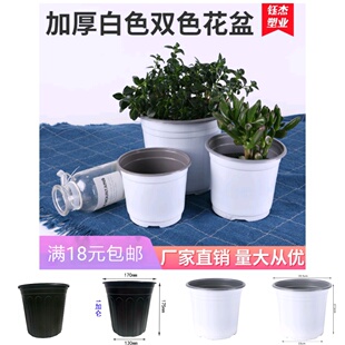 白色双色盆黑色加仑盆一次性营养钵简易营养杯育苗花盆种植盆塑料