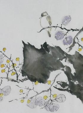 手绘字画书画客厅装饰画热销I072453三尺斗方无款国画花鸟画金果