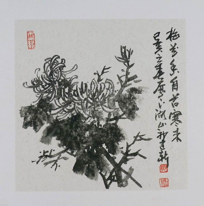 名人字画书画手绘客厅装饰画新品I042537郭建新国画花鸟菊花小品