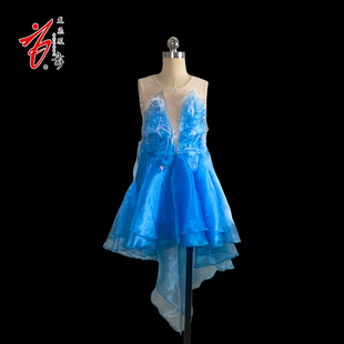 酉鸡出晨小荷风采小小舞蹈家桃李杯舞蹈服演出服装龙飞凤舞订制