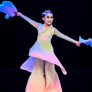 蝶舞花霓 中国舞(独舞)女童舞蹈服装定制表演服装
