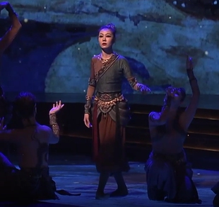 龙飞凤舞《铅华满壁》荷花奖表演同款服装定制租赁手工设计2023新