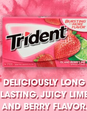 代购美国无糖经典原装进口Trident三叉戟木糖醇口香糖留兰香整盒1