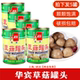 包邮 福建特产华宾牌草菇罐头食用菌草菇新货美味佳肴400g 5罐多省