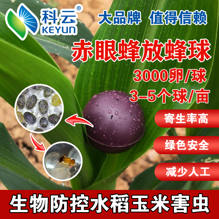 赤眼蜂放蜂球防治水稻螟虫