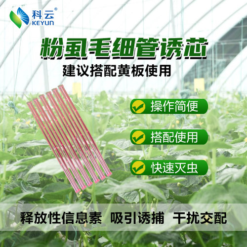 科云白粉虱诱芯烟粉虱信息素监测诱捕西红柿辣椒黄瓜茄子小白蛾 - 封面