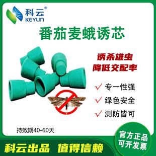 科云番茄潜叶蛾性信息素诱芯诱捕西红柿钻心虫监测防治麦蛾包邮