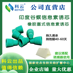 印度谷螟昆虫信息素诱芯仓储害虫绿色防治搭配诱捕器