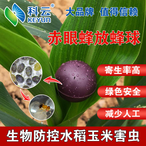 赤眼蜂抛卵球天敌寄生蜂防治水稻蔬菜玉米二化螟棉铃虫小菜蛾粘虫 - 封面