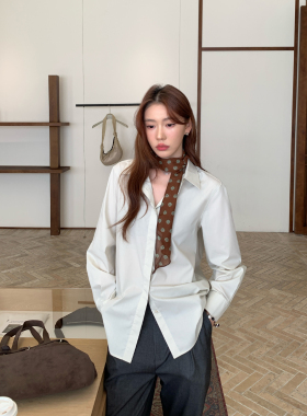 Halo Luu 灰白色衬衫女春季2026新款抗皱廓形衬衣休闲宽松外套