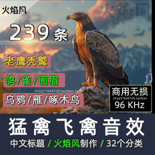 全中文◆猛禽飞禽鸟类动物叫声音效包老猫头鹰乌鸦翅膀雁画眉素材