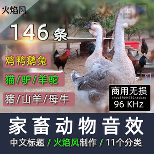 全中文家畜动物叫声音效包鸡鸭鹅驴牛羊猪猫兔子羊驼商用无损素材