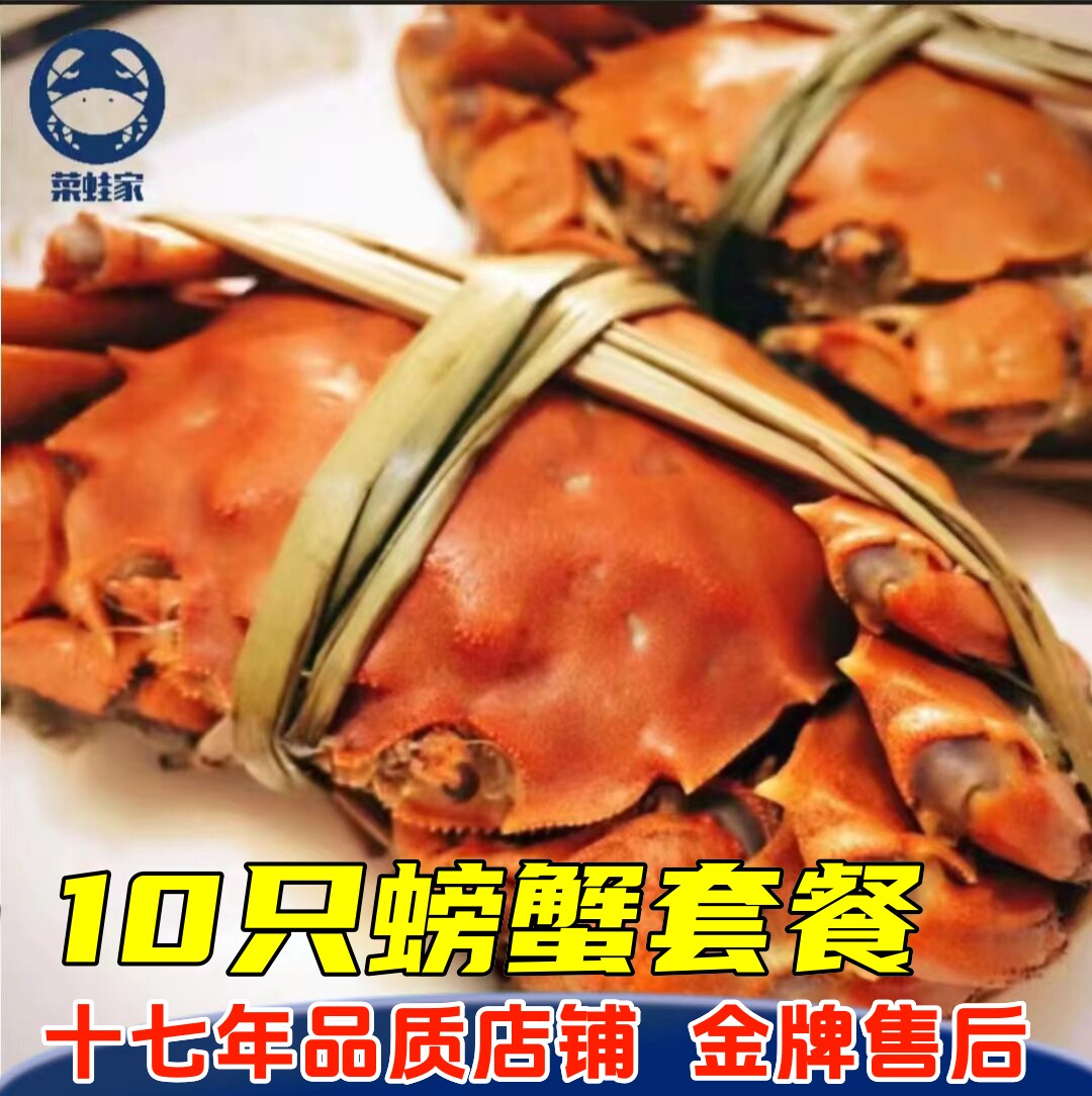净重活蟹盘锦河蟹大闸蟹礼盒3.3-2.3全母蟹螃蟹盘锦稻田蟹10只