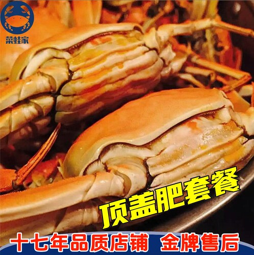 顶盖肥盘锦河蟹菜蛙河蟹