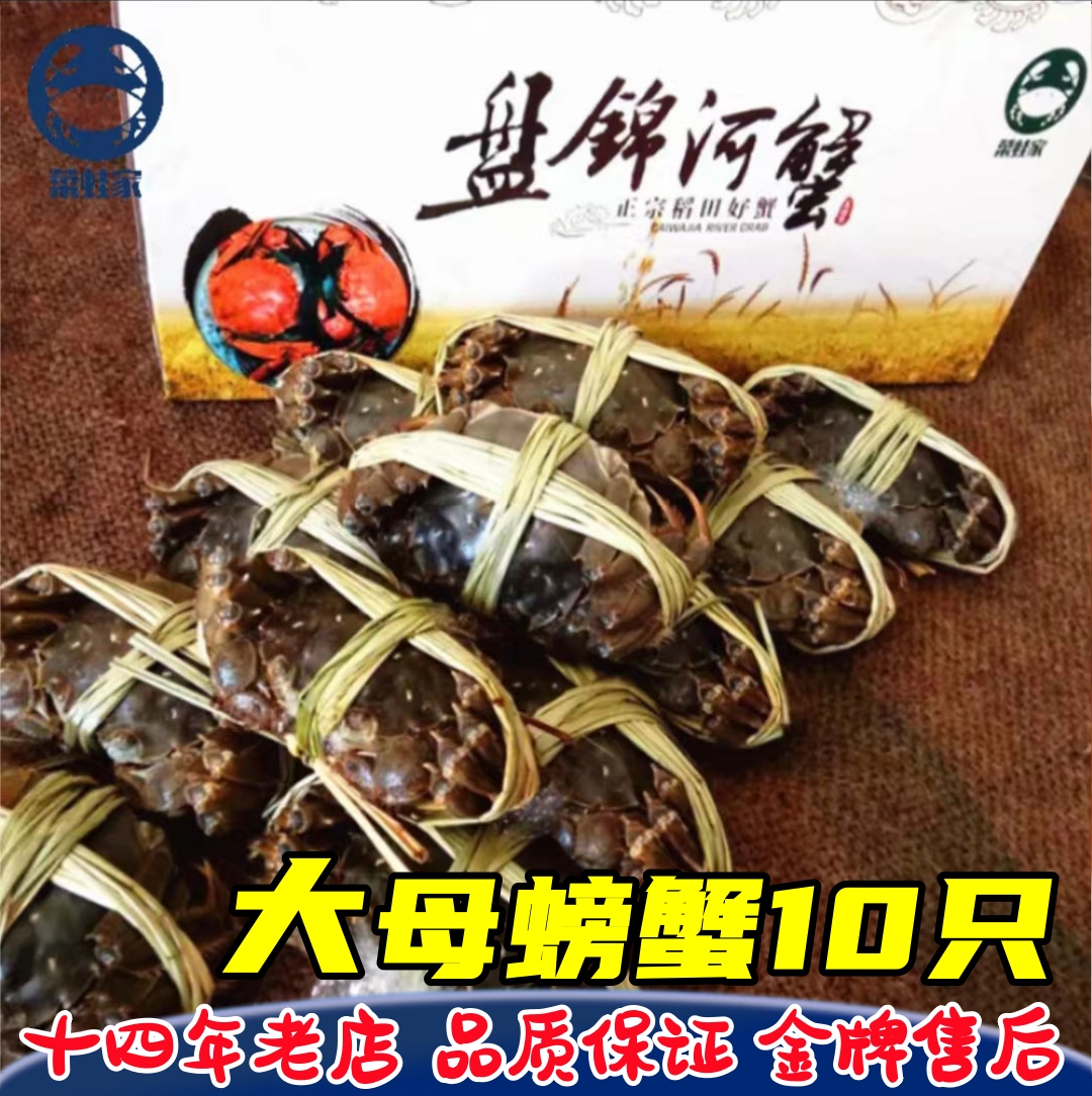 盘锦河蟹大闸蟹现货礼盒10只包邮稻田螃蟹母螃蟹3.3-2.9两菜蛙