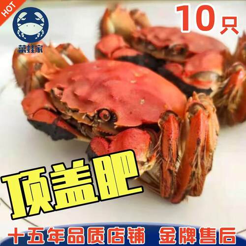 黄蟹公蟹净重盘锦河蟹大闸蟹活蟹礼盒母蟹大螃蟹稻田蟹现货包邮
