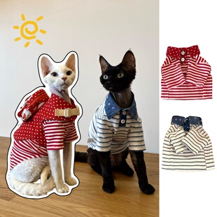 春夏薄款阿比西尼德文猫衣服无毛猫纯棉条纹T恤猫咪polo衫打底衫
