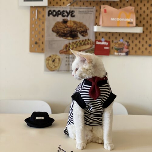 春夏阿比西尼亚猫无毛猫衣服德文猫纯棉条纹T恤复古打底衫小猫潮