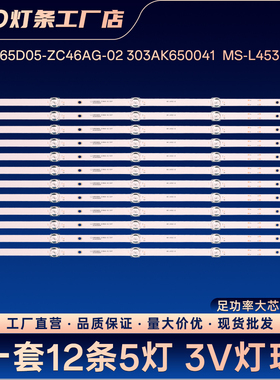 AHKK65D05-ZC46AG-02 303AK650041  MS-L4532 V2灯条LED65K620