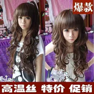 Perruque Les cheveux longs - Ref 2612637 Image 1