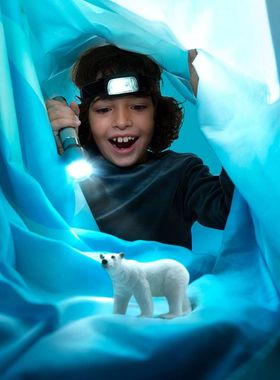 小白熊14660北极熊14800德国Schleich思乐仿真野生动物玩具模型