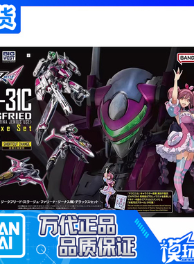 现货 万代 HG VF-31C 超时空要塞 齐格弗里德 吉纳斯机 豪华 补款