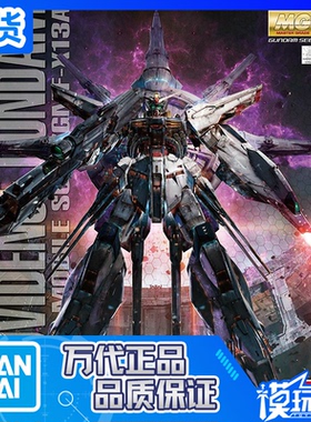 现货 万代 MG Providence 天帝 神意 高达 神尊 天意 拼装模型