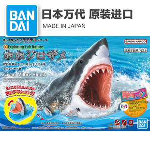 现货 万代 Exploring Lab Nature 噬人鲨 大白鲨 拼装